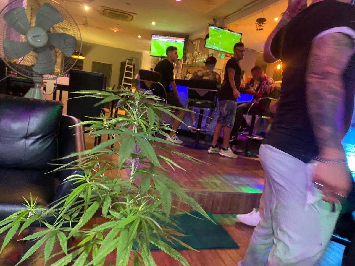 Patong Green Mango Guesthouse מראה חיצוני תמונה